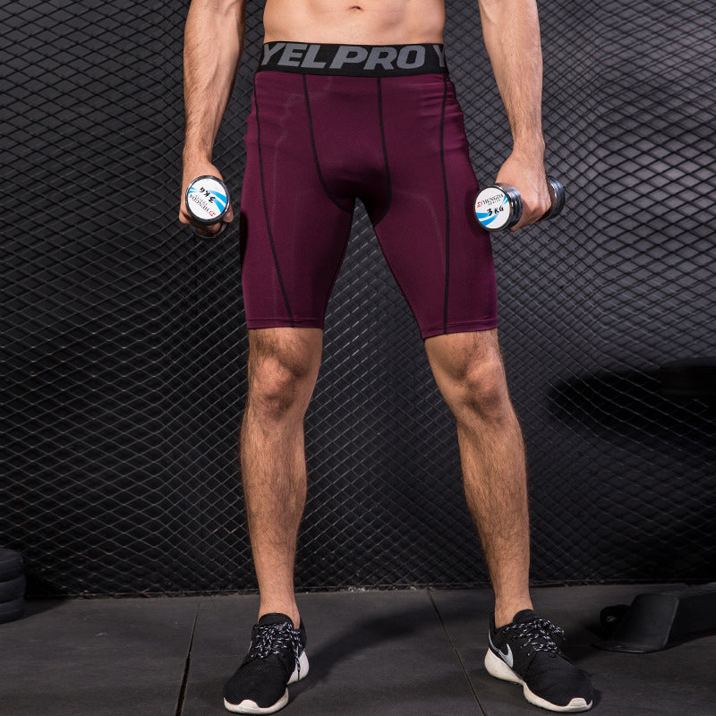 Men's fitted gym running shorts by Pump Lab Fitness, designed for training with a comfortable, athletic fit and breathable fabric.